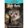 Aye-Ayes - Paperback