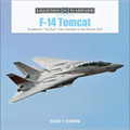 F-14 Tomcat: Grumman's "Top Gun" from Vietnam to the Persian Gulf - Hardcover