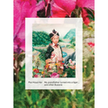 Pao Houa Her: My Grandfather Turned Into a Tiger ... and Other Illusions - Paperback