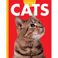 Curious about Cats - Paperback