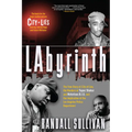 Labyrinth - Paperback