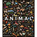 Animal: Exploring the Zoological World - Hardcover