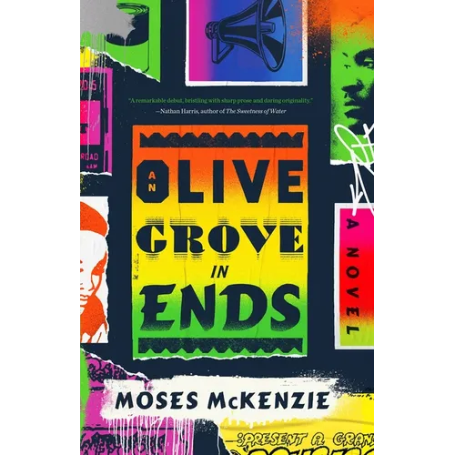 An Olive Grove in Ends - Hardcover