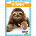 Sloths - Library Binding