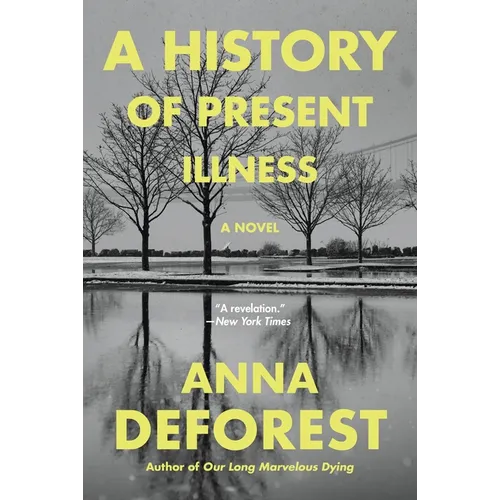 A History of Present Illness - Paperback