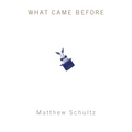 What Came Before - Paperback