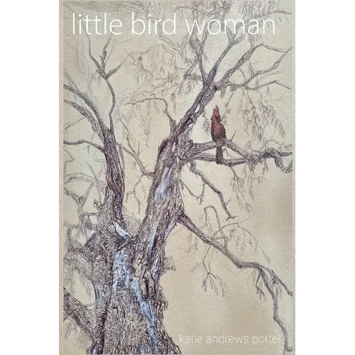 Little Bird Woman - Paperback