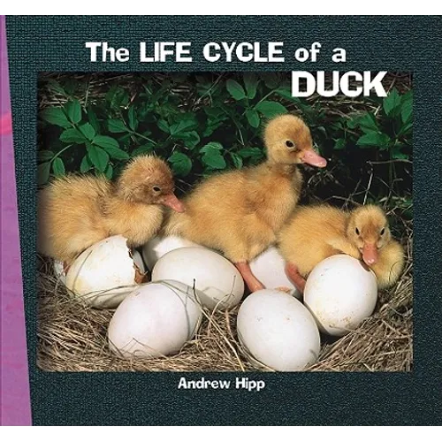 The Life Cycle of a Duck - Paperback