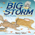 The Big Storm: A Very Soggy Counting Book - Board Book