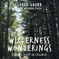 Wilderness Wonderings: Finding Spirit in Stillness - Paperback