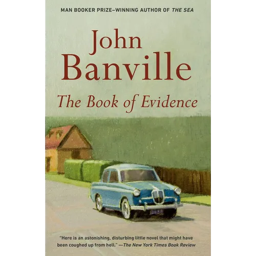 The Book of Evidence - Paperback
