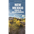 New Mexico Trees & Wildflowers: A Folding Pocket Guide to Familiar Plants