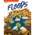 Floods - Library Binding