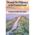 Through The Wilderness to the Promised Land: A healing journey with Jesus - Paperback
