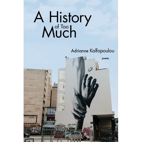 A History of Too Much - Paperback