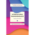 Intercultural Phenomenology: Playing with Reality - Hardcover