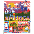 Only in America: The Weird and Wonderful 50 States - Paperback