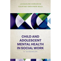 Child and Adolescent Mental Health in Social Work: Clinical Applications - Paperback