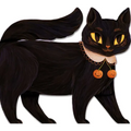 One Black Cat - Board Book