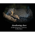 Awakening Awe: An Illustrated Journey to Reverence - Hardcover