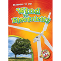 Wind to Electricity - Library Binding