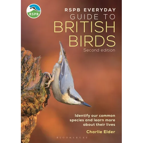 Rspb Everyday Guide to British Birds: Identify Our Common Species and Learn More about Their Lives - Paperback