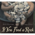 If You Find a Rock - Hardcover