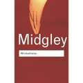 Wickedness: A Philosophical Essay - Paperback