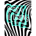 Optical Illusions - Hardcover