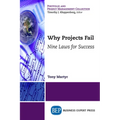 Why Projects Fail: Nine Laws for Success - Paperback
