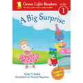 A Big Surprise - Paperback