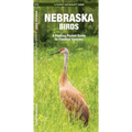 Nebraska Birds: An Introduction to Familiar Species - Paperback