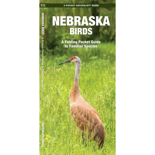 Nebraska Birds: An Introduction to Familiar Species - Paperback