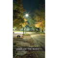 Lamp of the Body - Paperback