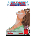 Bleach, Vol. 60: Everything But the Rain - Paperback