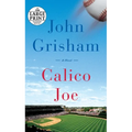 Calico Joe - Paperback