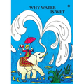 Why Water is Wet - Paperback