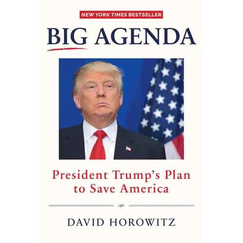 Big Agenda: President Trump's Plan to Save America - Hardcover