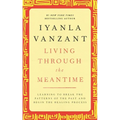 Living Through the Meantime: Learning to Break the Patterns of the Past and Begin the Healing Process - Hardcover