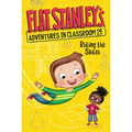 Flat Stanley's Adventures in Classroom 2e #2: Riding the Slides - Paperback