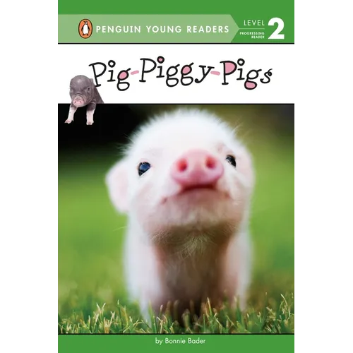 Pig-Piggy-Pigs - Paperback