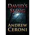David's Sling - Paperback
