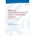 Biblical Interpretation in Early Christian Gospels: Volume 4: The Gospel of John - Paperback