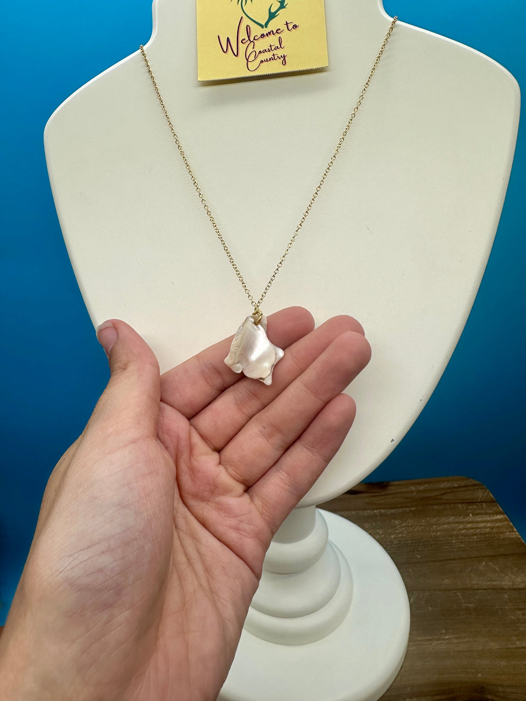 Astrea Undosa Shell Necklace