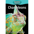 Chameleons - Paperback