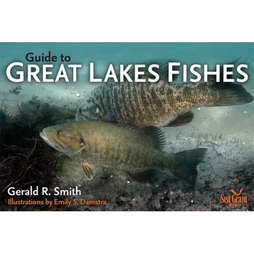 Guide to Great Lakes Fishes - Paperback
