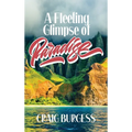 A Fleeting Glimpse of Paradise - Hardcover