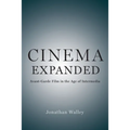 Cinema Expanded: Avant-Garde Film in the Age of Intermedia - Paperback
