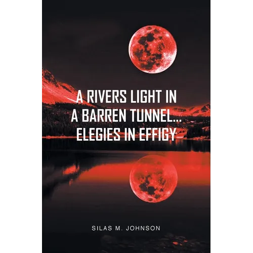 A Rivers Light in a Barren Tunnel... Elegies in Effigy - Paperback