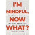 I'm Mindful, Now What?: Moving Beyond Mindfulness to Meet the Modern World - Paperback
